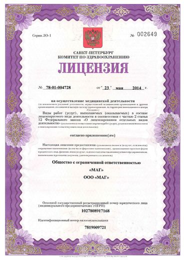 Лицензия, лист 1
