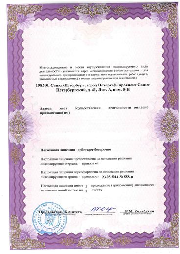 Лицензия, лист 2